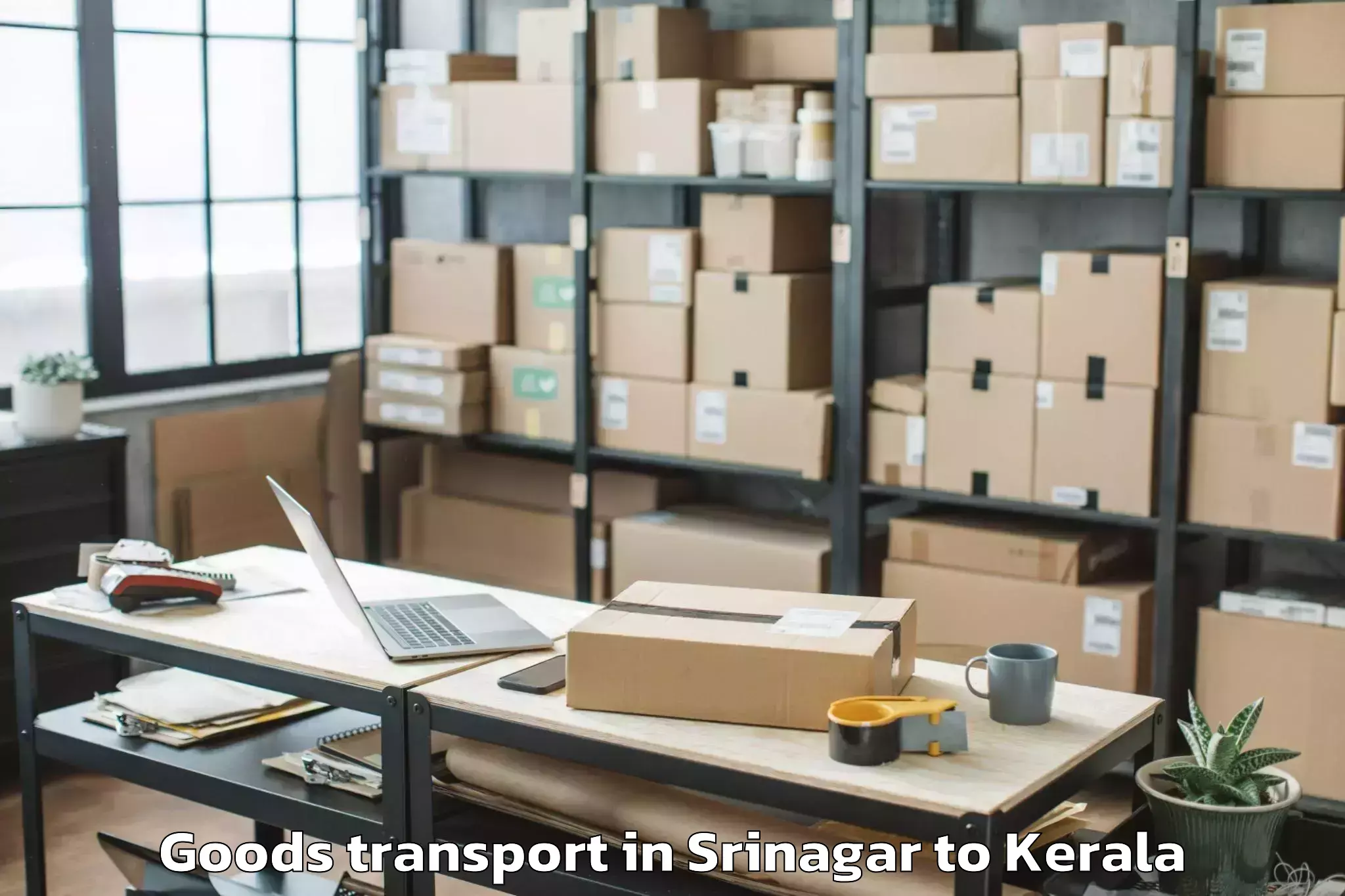 Top Srinagar to Edakkulam Goods Transport Available